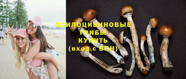 дмт Богородицк